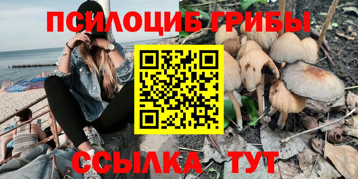 Псилоцибиновые грибы прущие грибы  Вход с VPN  Малгобек 